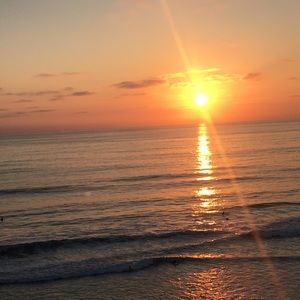 Meet your Posher, Crissy